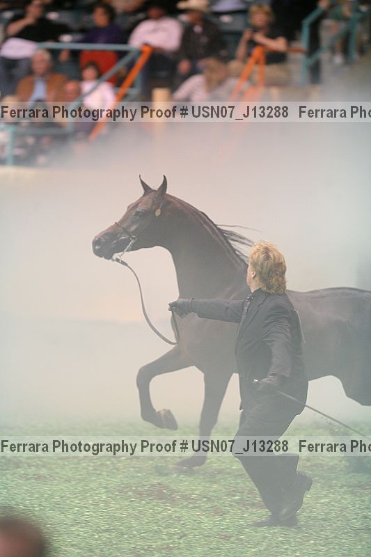 Proof usn07_j13288