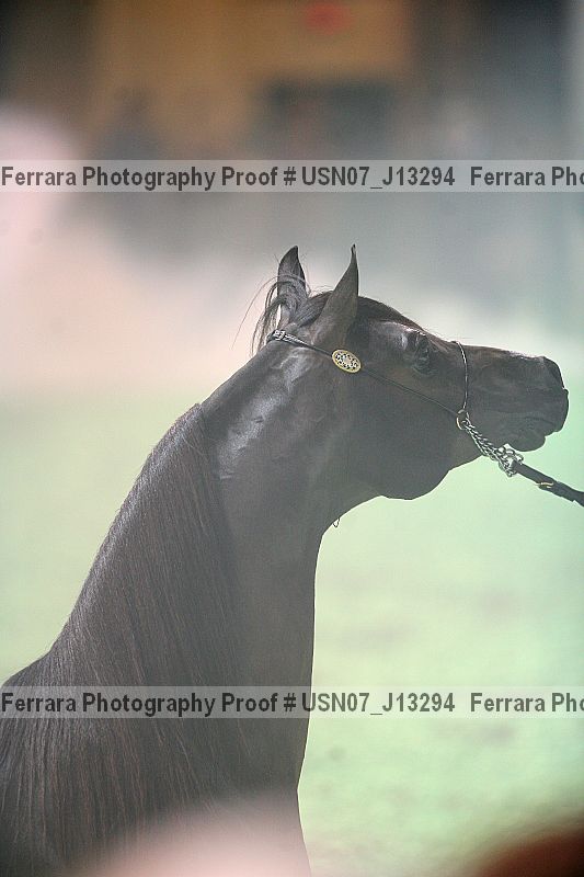 Proof usn07_j13294