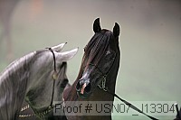 usn07_j13304 proof