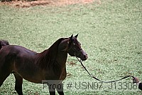 usn07_j13308 proof