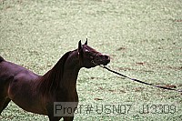 usn07_j13309 proof