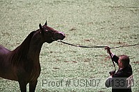 usn07_j13310 proof