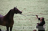 usn07_j13311 proof