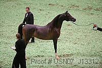 usn07_j13312 proof