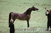 usn07_j13313 proof
