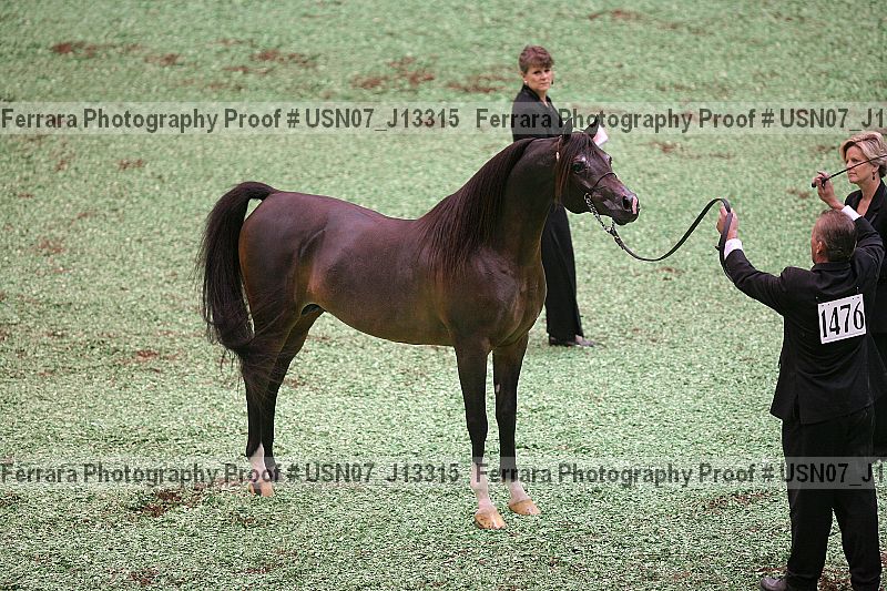 Proof usn07_j13315