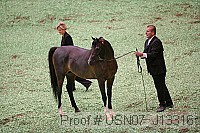 usn07_j13316 proof