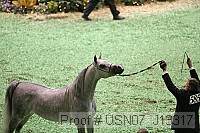 usn07_j13317 proof