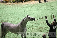 usn07_j13318 proof
