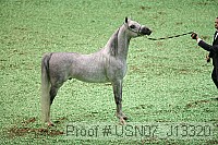 usn07_j13320 proof