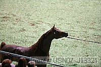 usn07_j13321 proof