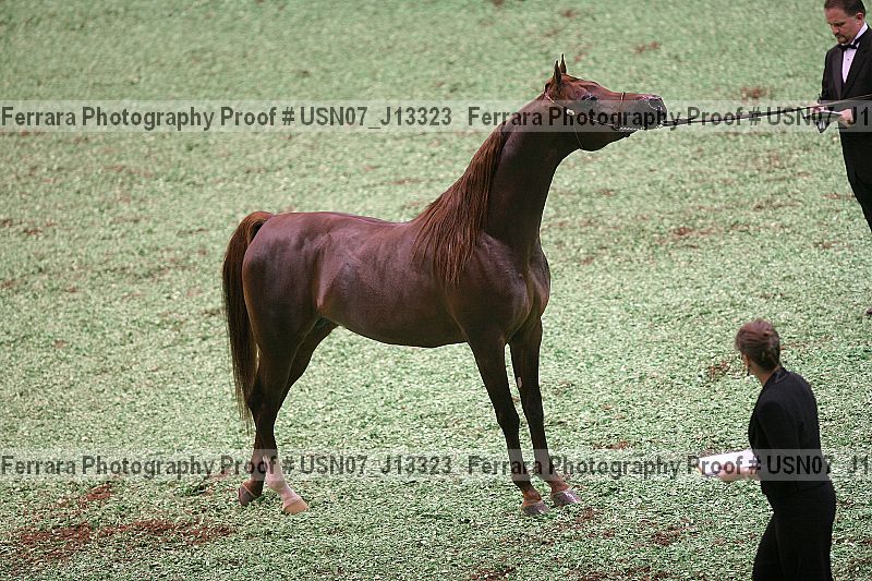 Proof usn07_j13323