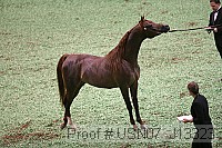 usn07_j13323 proof