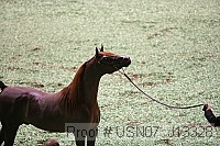 usn07_j13328 proof