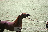 usn07_j13329 proof