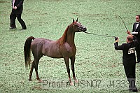 usn07_j13330 proof