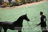 usn07_j13333 proof