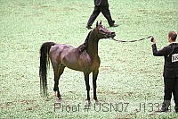 usn07_j13334 proof