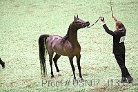 usn07_j13335 proof
