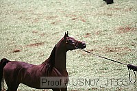 usn07_j13337 proof