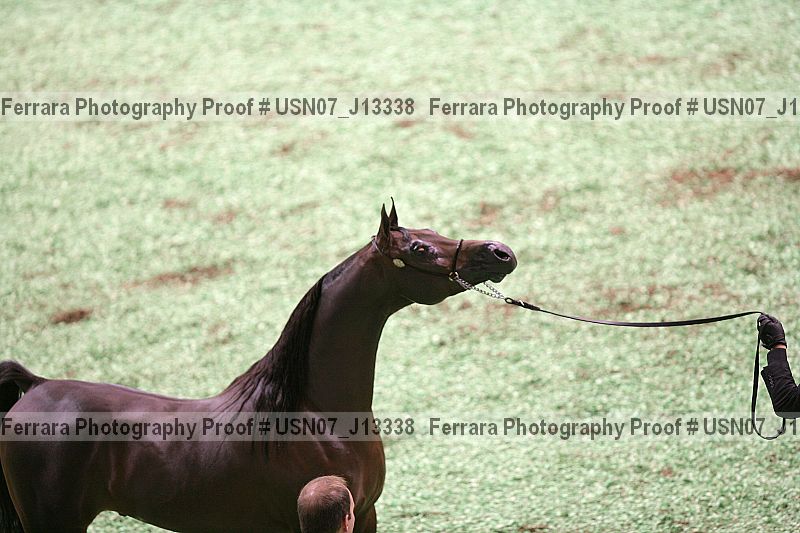 Proof usn07_j13338