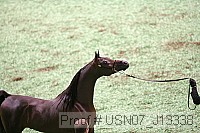 usn07_j13338 proof