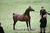 usn07_j13341 proof