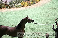 usn07_j13343 proof