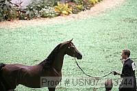 usn07_j13344 proof