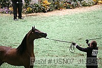 usn07_j13349 proof