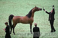 usn07_j13350 proof