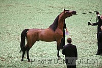 usn07_j13351 proof