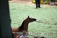 usn07_j13353 proof