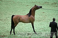 usn07_j13354 proof