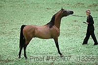 usn07_j13355 proof