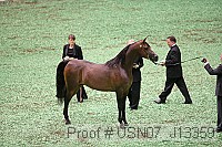 usn07_j13359 proof