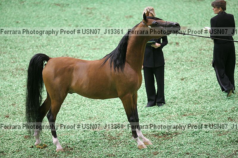 Proof usn07_j13361