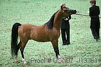usn07_j13361 proof