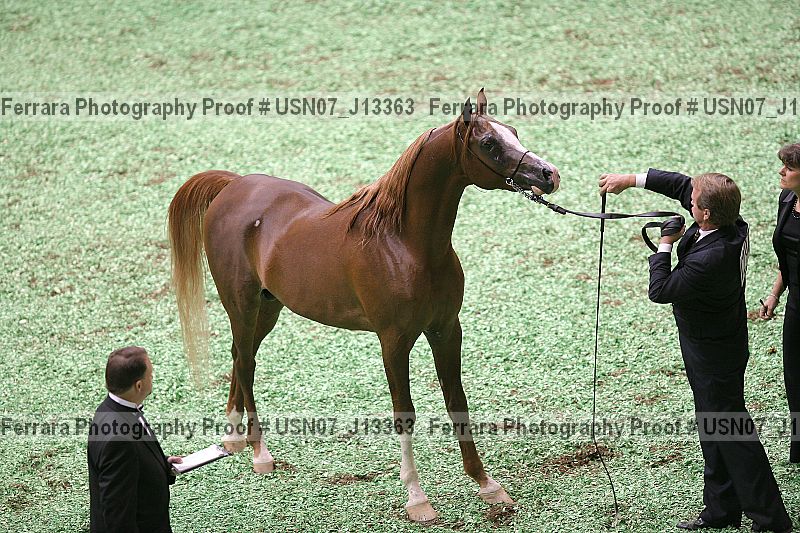 Proof usn07_j13363
