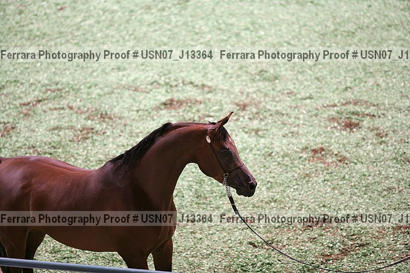 Proof usn07_j13364