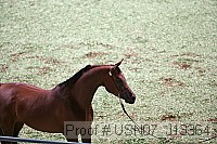 usn07_j13364 proof