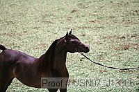 usn07_j13366 proof