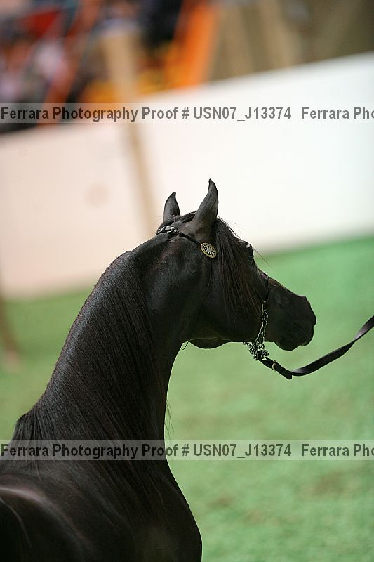 Proof usn07_j13374