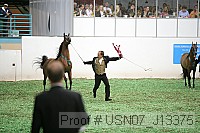 usn07_j13375 proof