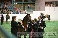 usn07_j13378 proof