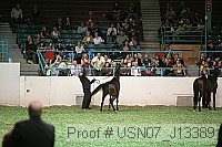 usn07_j13389 proof