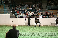 usn07_j13390 proof