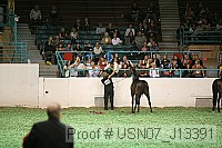 usn07_j13391 proof