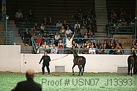 usn07_j13393 proof