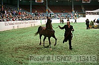 usn07_j13413 proof